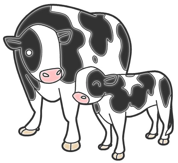 親子牛イラスト素材 | 親子牛