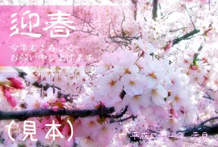 桜の花の年賀状(見本) | 桜の花の写真