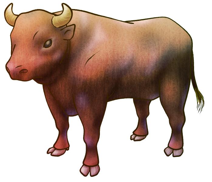 闘牛の牛イラスト素材 | 闘牛