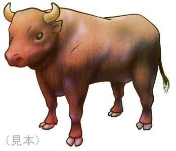 闘牛の牛イラスト素材(見本) | 闘牛
