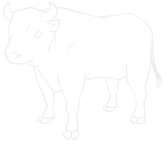 闘牛の牛イラストぬりえ素材 | 闘牛