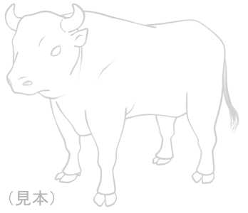 闘牛の牛イラストぬりえ素材(見本) | 闘牛
