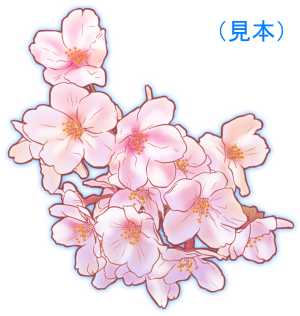 桜の花イラスト素材(見本) | 花のイラスト