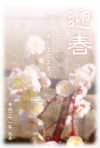 梅の花の写真年賀状 サムネ