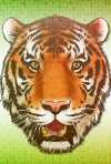 リアルな虎の顔の背景素材 サムネ
