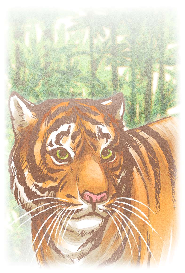 リアルな虎の年賀状イラスト素材 | リアルなトラ