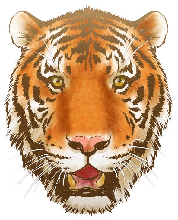 リアルな虎の顔イラスト素材 | リアルなトラ