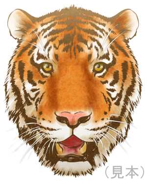 リアルな虎の顔イラスト素材(見本) | リアルなトラ