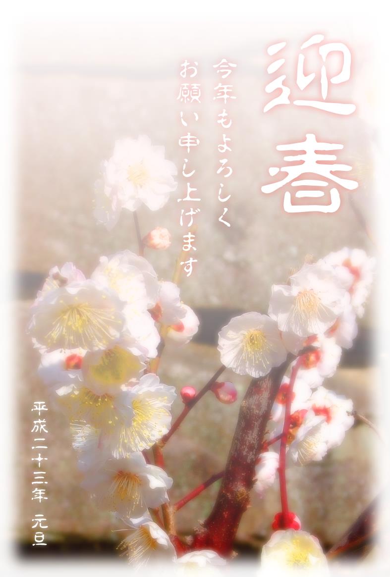 梅の花の年賀状テンプレート | 花