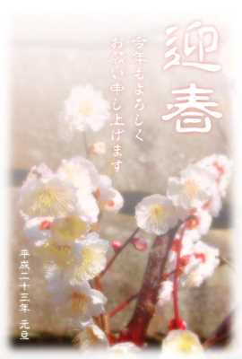 梅の花の年賀状テンプレート(見本) | 花
