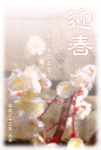 梅の花の年賀状テンプレート サムネ