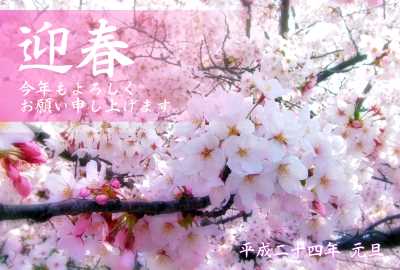 桜の花写真年賀状(見本) | 花