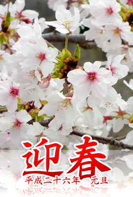桜の写真年賀状・タテ（見本）
