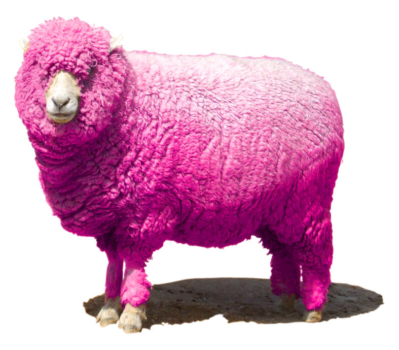 ピンクの羊 見本 Kmsys未年賀状イラスト素材集