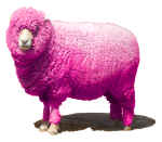 ピンクの羊 サムネイル