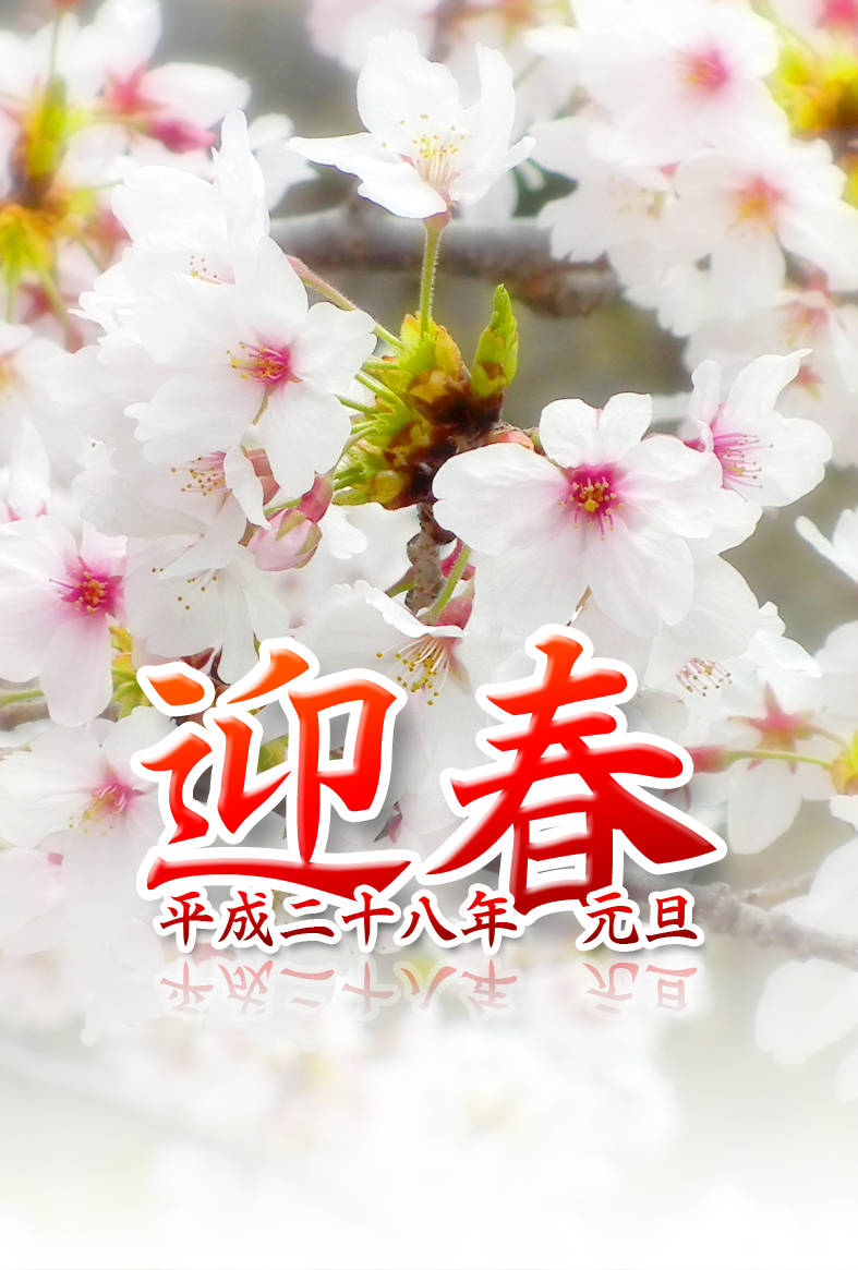 桜の写真年賀状・タテ
