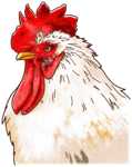 リアルな鶏の顔イラスト素材 サムネイル