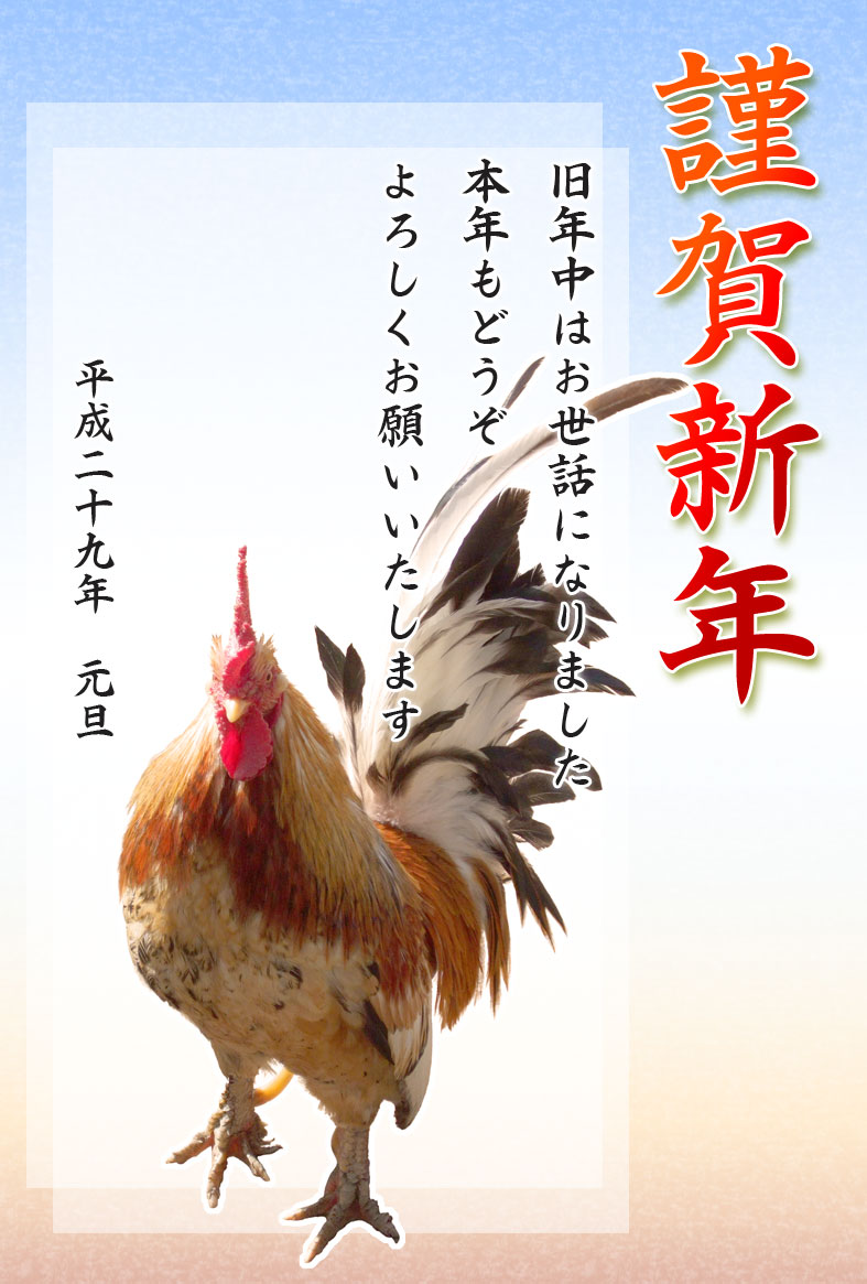 鶏(ニワトリ)写真年賀状テンプレート素材01