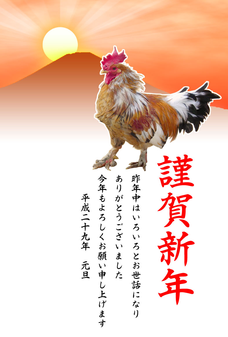鶏(ニワトリ)写真年賀状テンプレート素材03