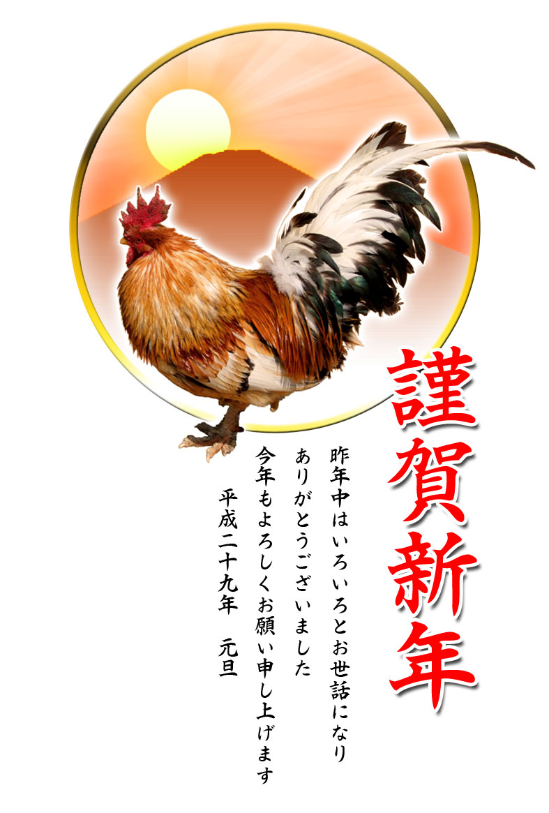 鶏(ニワトリ)写真年賀状テンプレート素材04