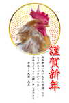 鶏写真年賀状06サムネイル
